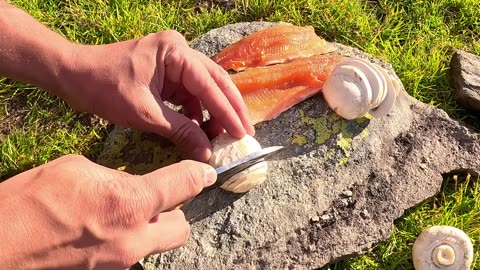WILD Mountain Trout Fishing & SOLO Camping!!! (Catch & Cook)