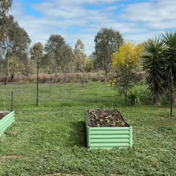 Vegetable Garden Time!