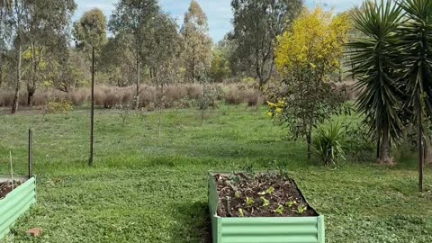 Vegetable Garden Time!