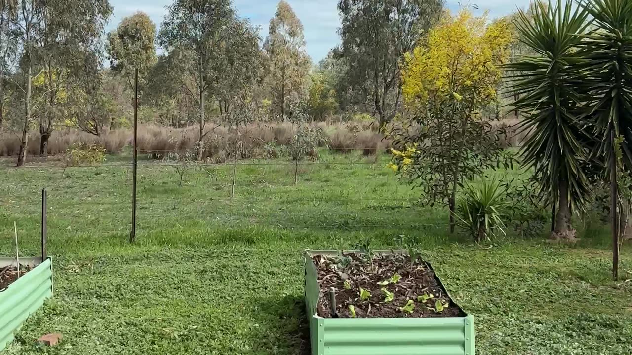 Vegetable Garden Time!