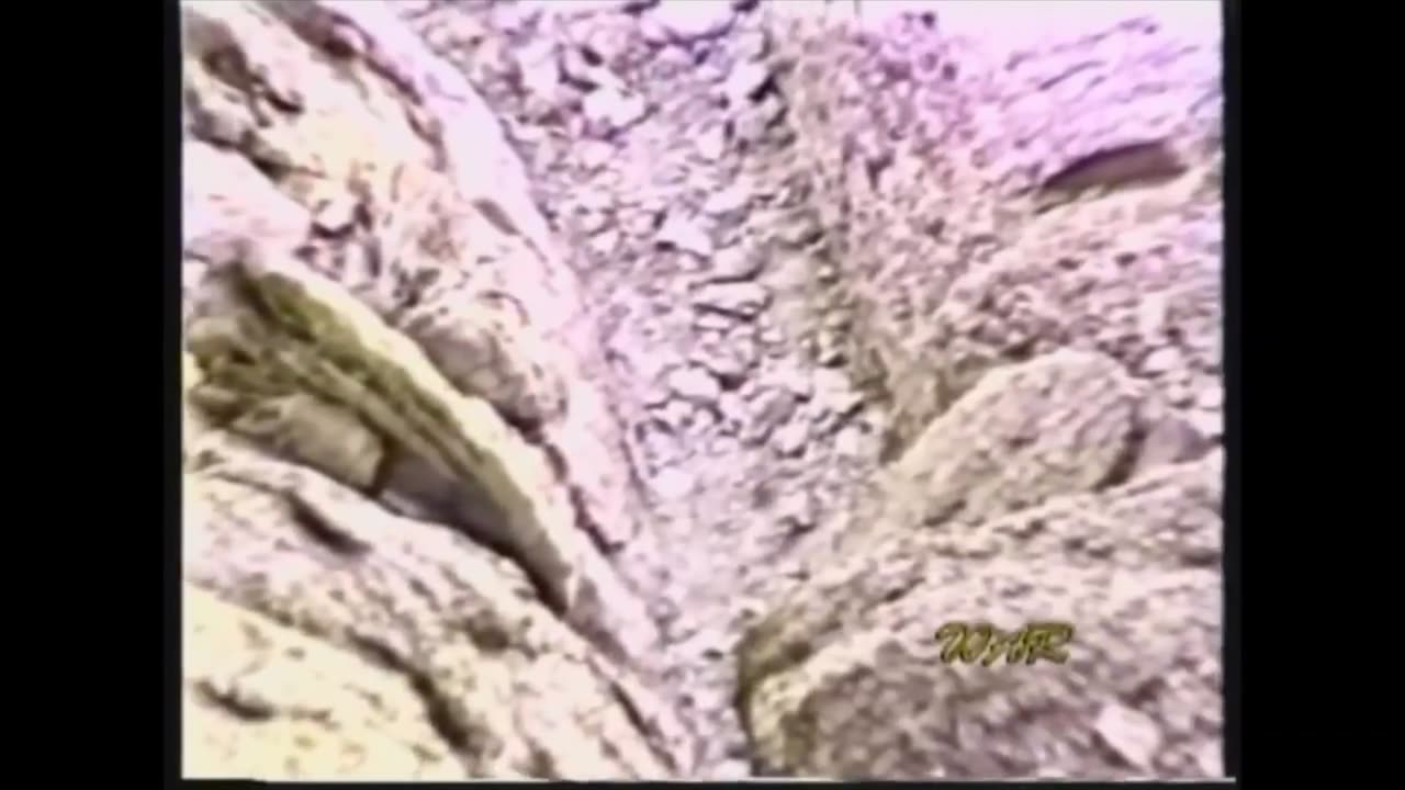 Ron Wyatt's discoveries: Noah's ark, Ark of the Covenant etc.