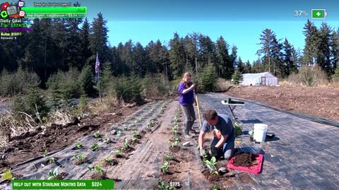 Day 345 Family Builds FARMSTEAD Dream Journey to Freedom in REMOTE ALASKAN Village | !Real !Homestead