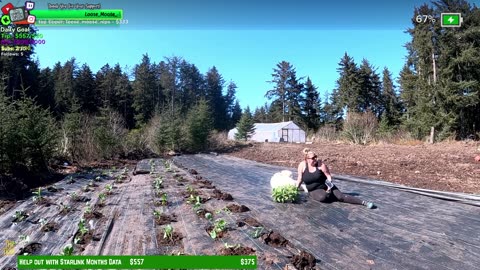 Day 345 Family Builds FARMSTEAD Dream Journey to Freedom in REMOTE ALASKAN Village | !Real !Homestead