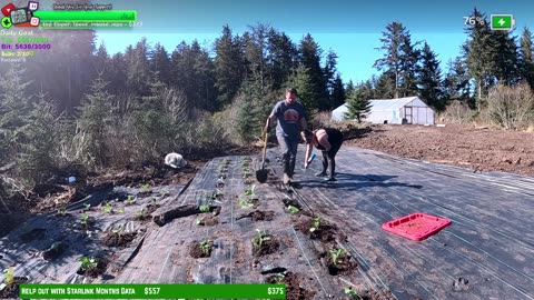 Day 345 Family Builds FARMSTEAD Dream Journey to Freedom in REMOTE ALASKAN Village | !Real !Homestead