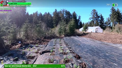 Day 345 Family Builds FARMSTEAD Dream Journey to Freedom in REMOTE ALASKAN Village | !Real !Homestead