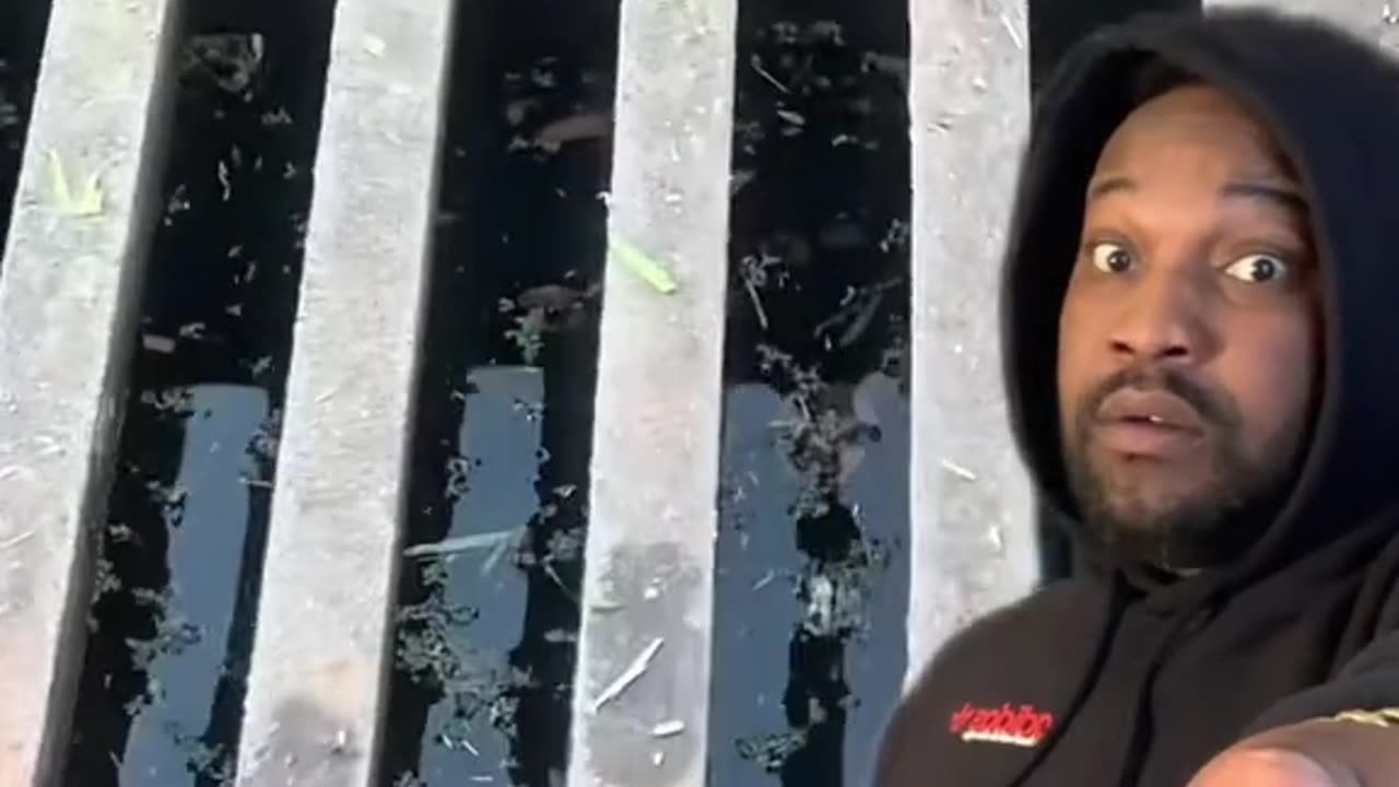 True Story - Seal In The Sewer