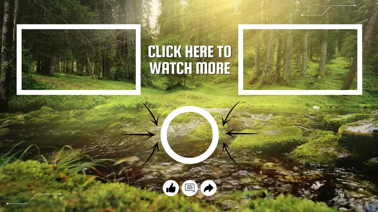 Apple Cider Vinegar for Kidney Stones | How to Cure Kidney Stones with Apple Cider Vinegar