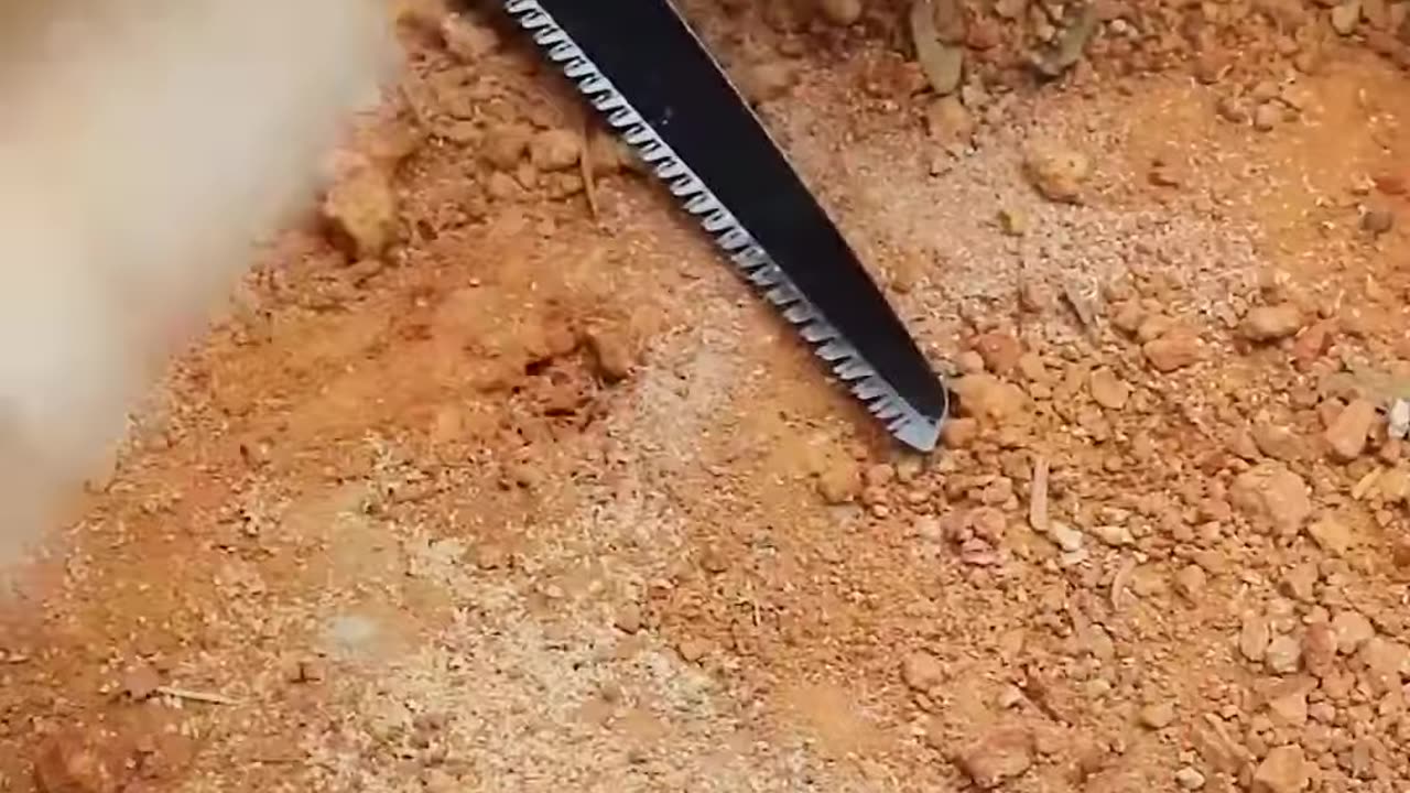 Building Underground Shelter House on Cliff part 1