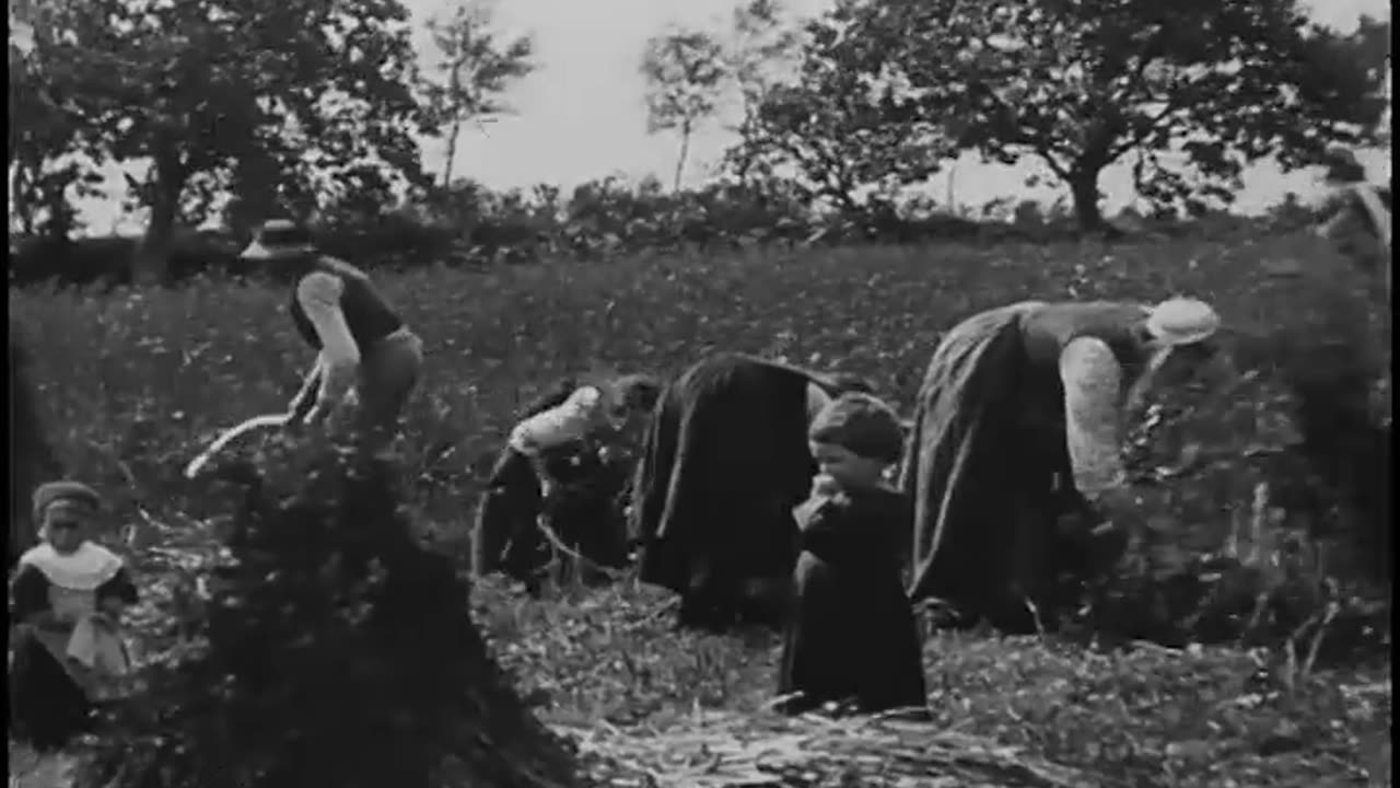 [STOCK NEWSREEL EXCERPTS] - [STOCK NEWSREEL EXCERPTS] - cbs-cbswwi-303