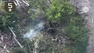 The Slavic Slaughterfest Continues(Thanks, Bumpkin)