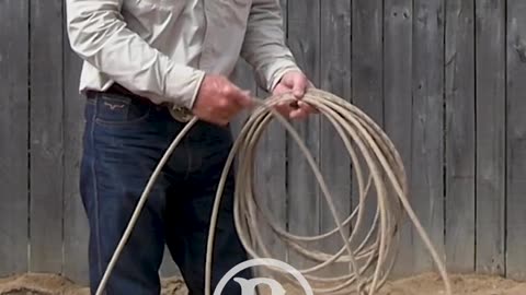 Stick to the 5 Principles for Effective Horsemanship
