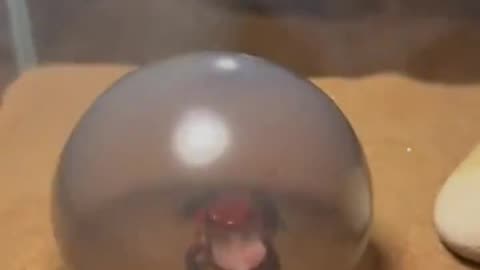 Knowledge is the real harvest