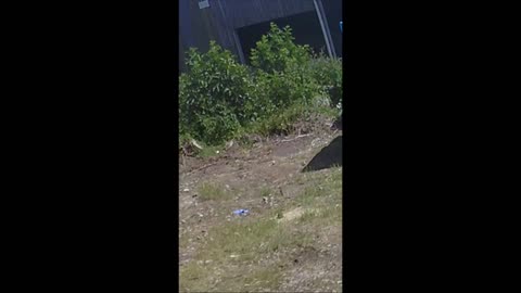 CESS PIT DISCUSSION 20-06-2022