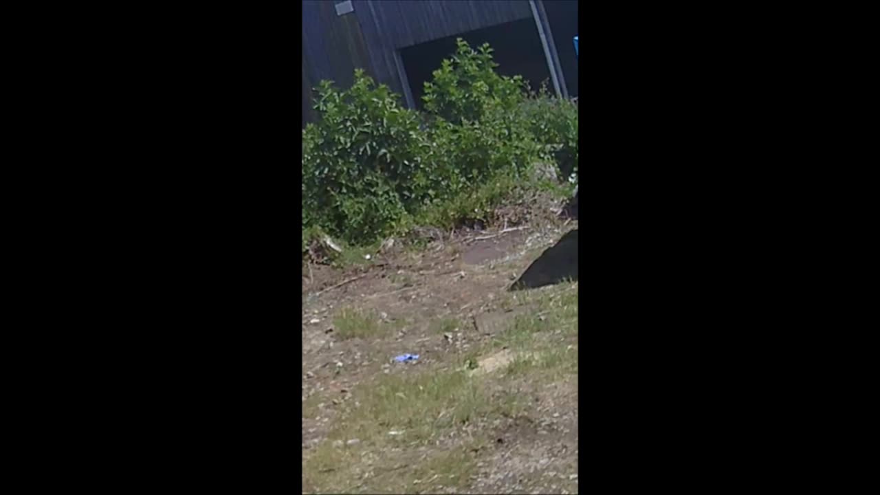 CESS PIT DISCUSSION 20-06-2022