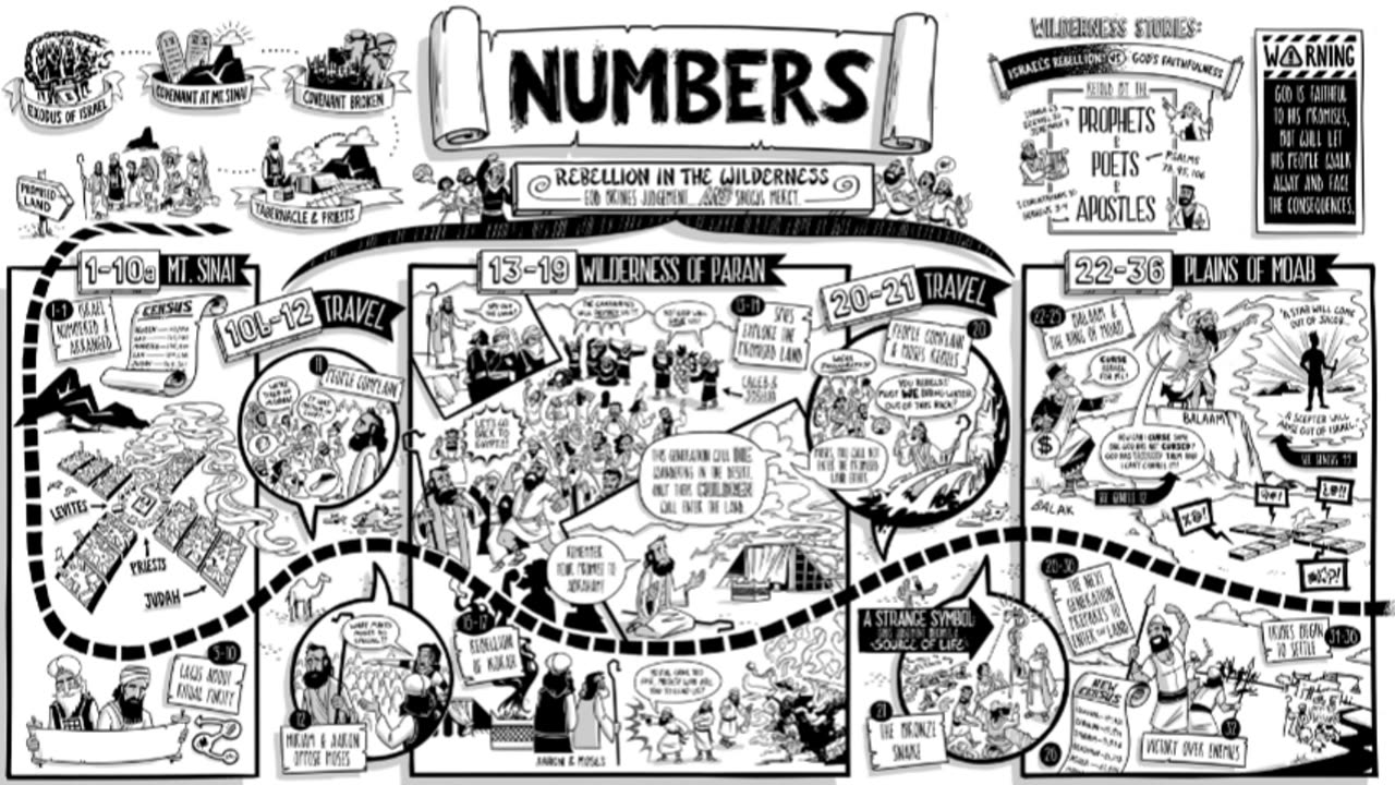 Numbers 12 - MacArthur (Bonus: Leviticus 14)