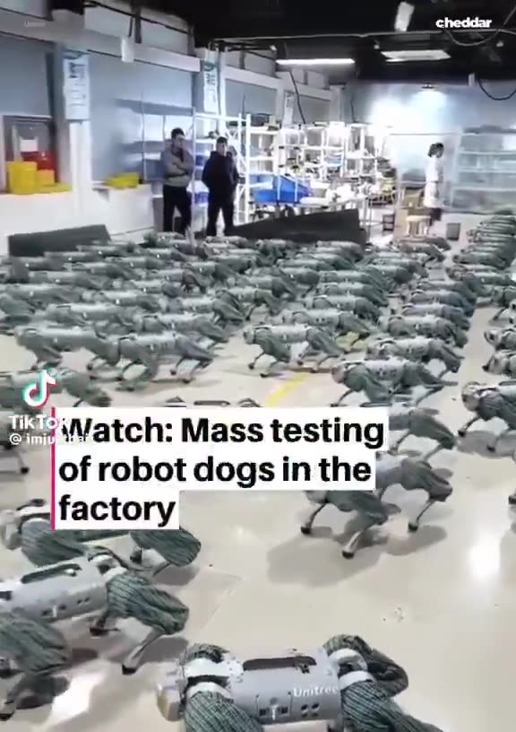 Oh I’m totally sure this will end well….