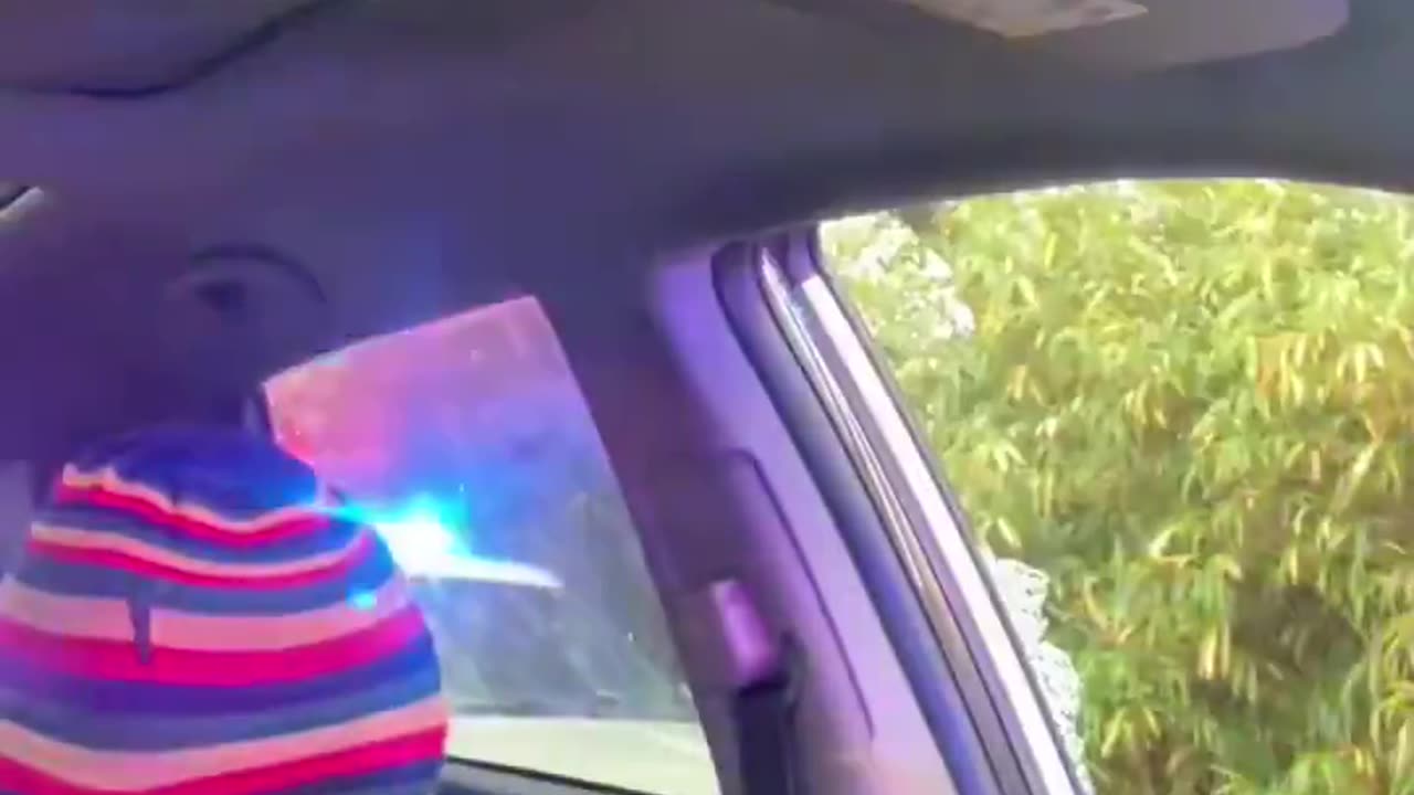 DA refused charging the officers negro learns what compliance is