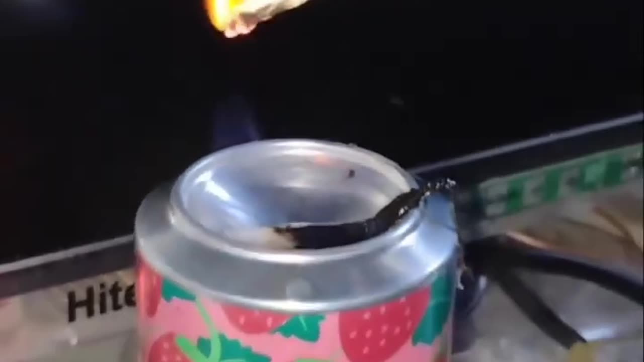 Prison Alcohol Final Results