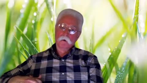 2025-12-28- A Common Lawyer Comments with Brent Allan Winters_Exodus 23-9