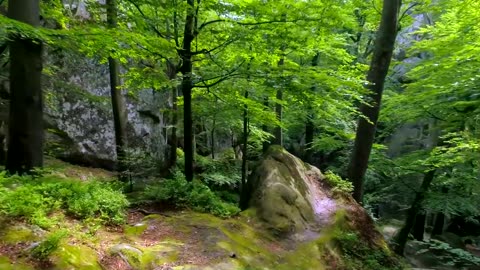 thin air wraps around whisper cliff bones