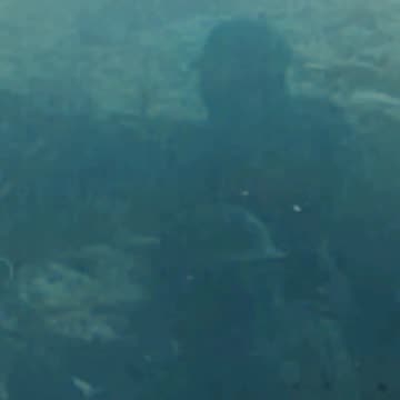 94 ⚔️ In gaming, if the enemy attacks, then counter with greater force