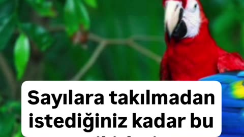 Günün sözü