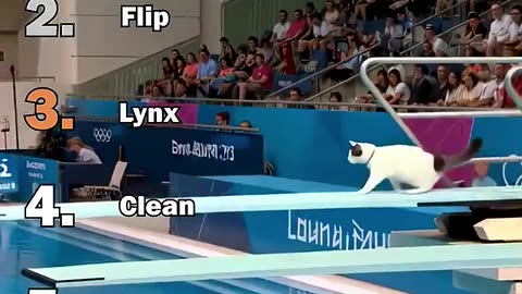 Ranking Best AI Cats Olympic Diving Moments.