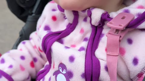 Baby Kayla’s Morning Walk Through the Woods | Family Nature Clip