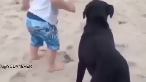 Loyalty's First Lesson