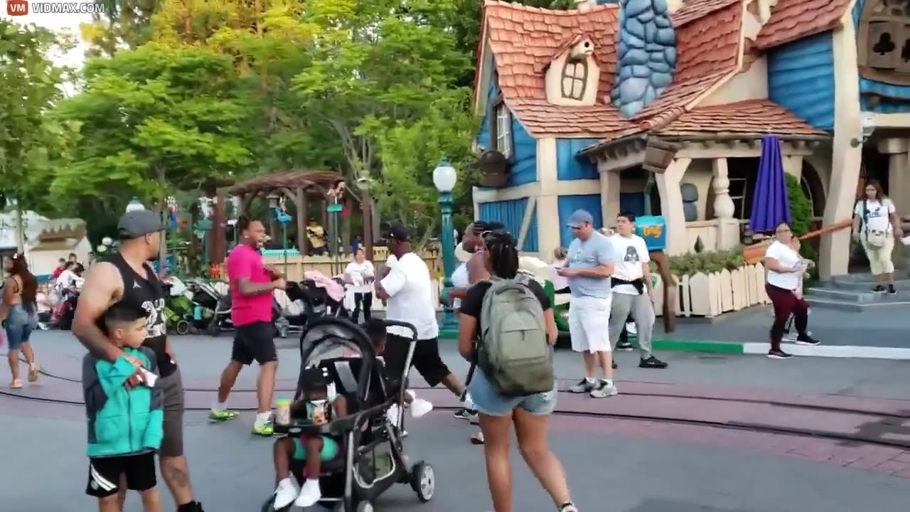And Now, The Happiest Place on Earth to have a Fight