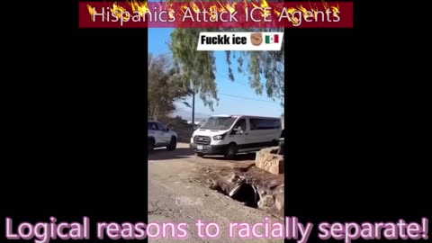Hispanics Attack ICE Agents