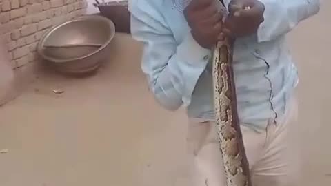 😂🐍 You Won't Believe This Romantic Snake Moment! | FunFM
