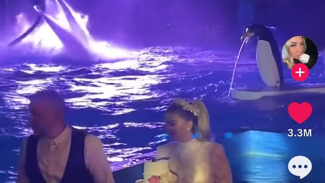 🎉😱 Can't Wait to See Their Gender Reveal! Wait for the Shock Ending... | FunFM