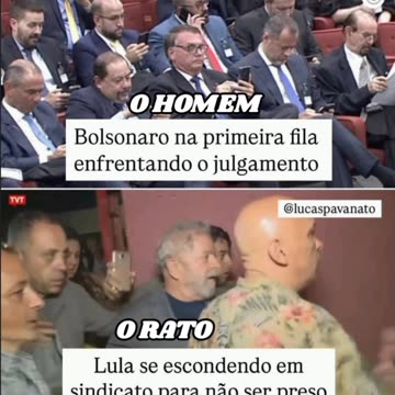 Essa é a diferença entre um homem e um rato