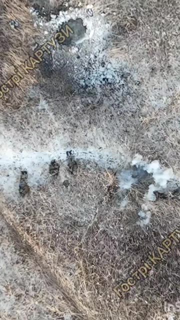 Russian Soldiers Try Crawling Through Freezing Undergrowth