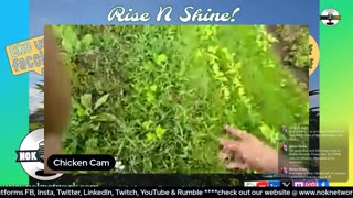 Rise ‘N Shine! It's Marijuana Time! Wake ‘N Bake Show Ep 263 July 27, 2025