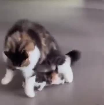 Mother ecstatic with baby’s first steps 😍