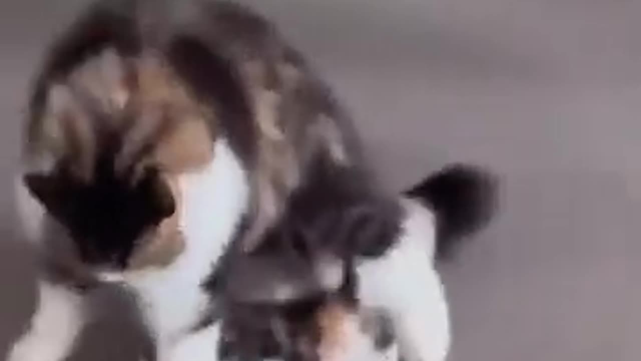 Mother ecstatic with baby’s first steps 😍