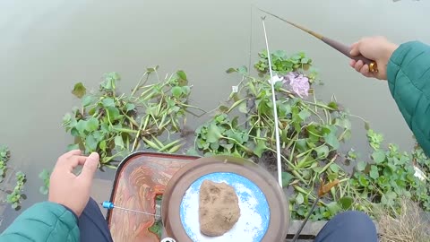 Shad Swims with the Rivers Rhyth