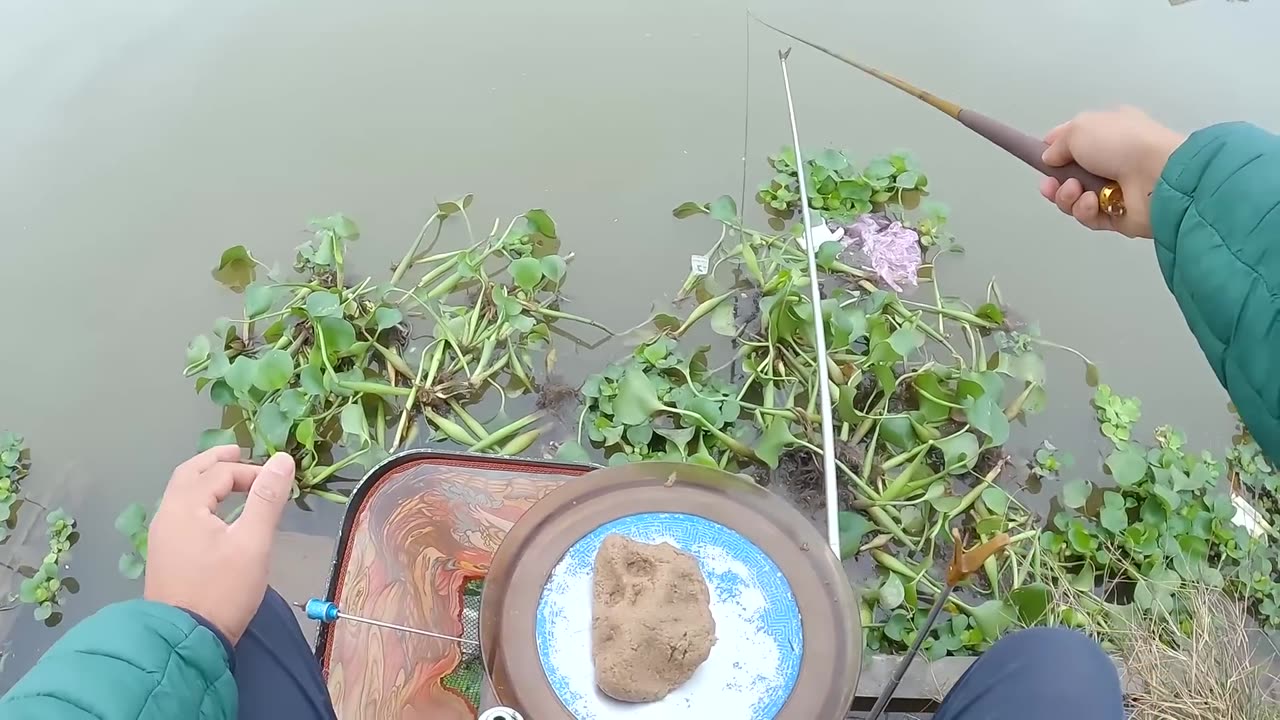 Shad Swims with the Rivers Rhyth