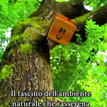 The charm of the natural environment that soothes the mind..🍃🍀🍀