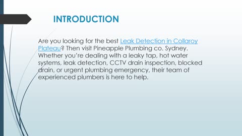 Best Leak Detection in Collaroy Plateau