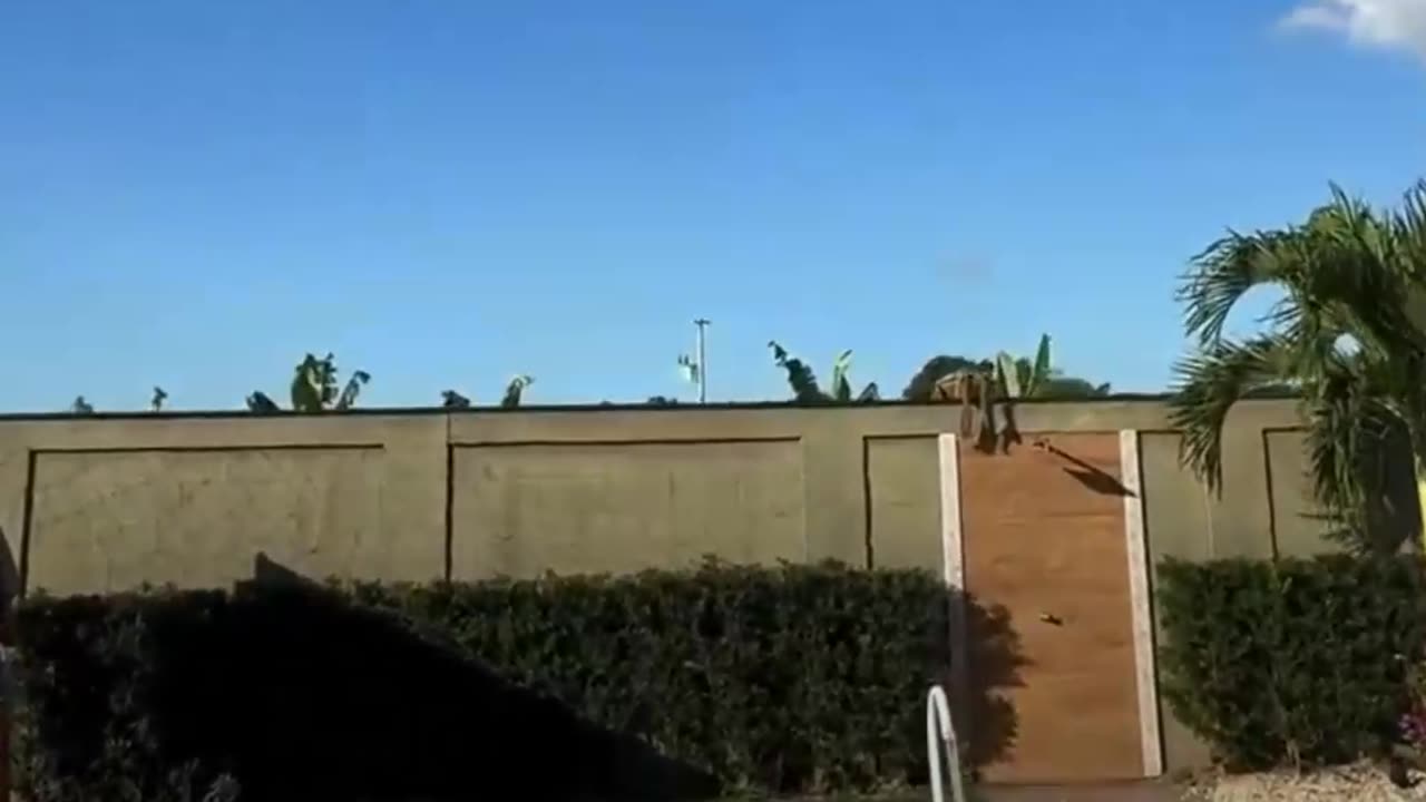 Un dron de carga levanta a un hombre y lo lanza a una piscina