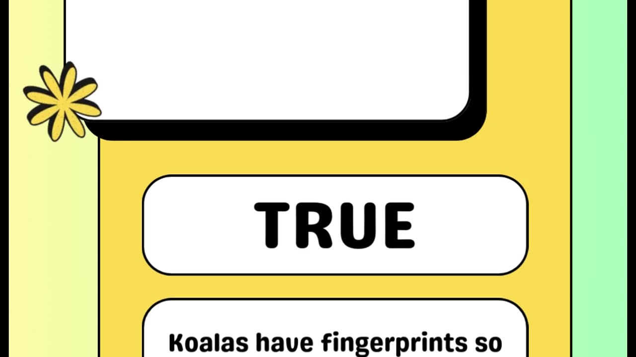True or False Quiz Challenge | Test Your Brain with 6 Fun Questions!