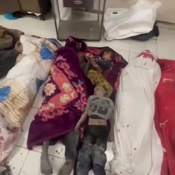 ►🚨▶⚡️🇮🇱⚔️🇵🇸❗️⚡️ Massacre in Northern Gaza: Around 50 Palestinians killed, over 100 wounded