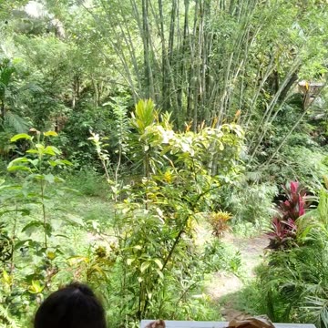 Expat Life in the Philippines | Beautiful Farm Morning with Pandesal & Hot Chocolate