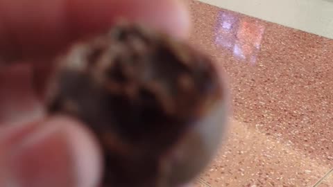 Sugar Bears Raspberry Chocolate Truffle Taste Test The Fast-Food Restaurant & Dessert Review Guys