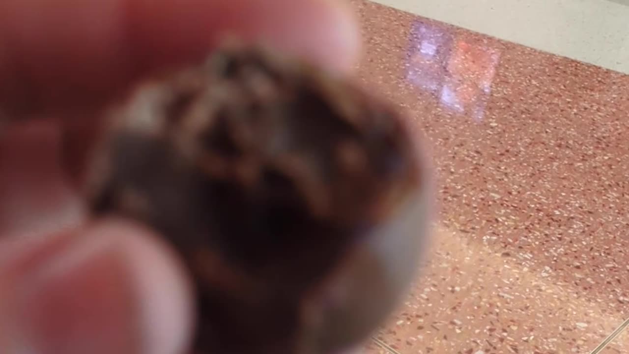 Sugar Bears Raspberry Chocolate Truffle Taste Test The Fast-Food Restaurant & Dessert Review Guys