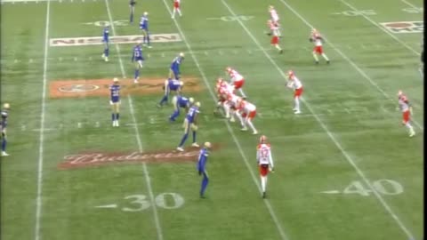 CFL 2017 BC-LIONS AT WINNIPEG BLUE BOMBERS