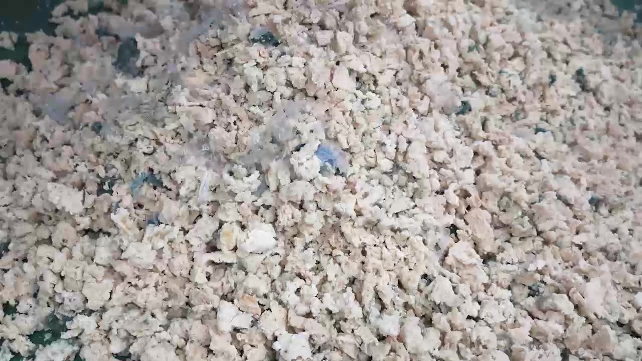 GSS Series Single Shaft Shredder: Precision Processing for Chemical Cellulose